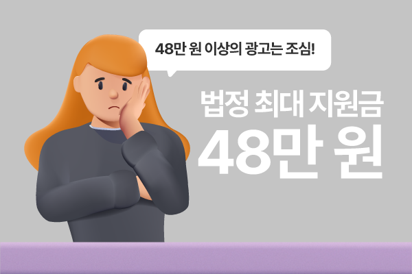정부가 정한 법정 최대 지원금은 48만 원까지